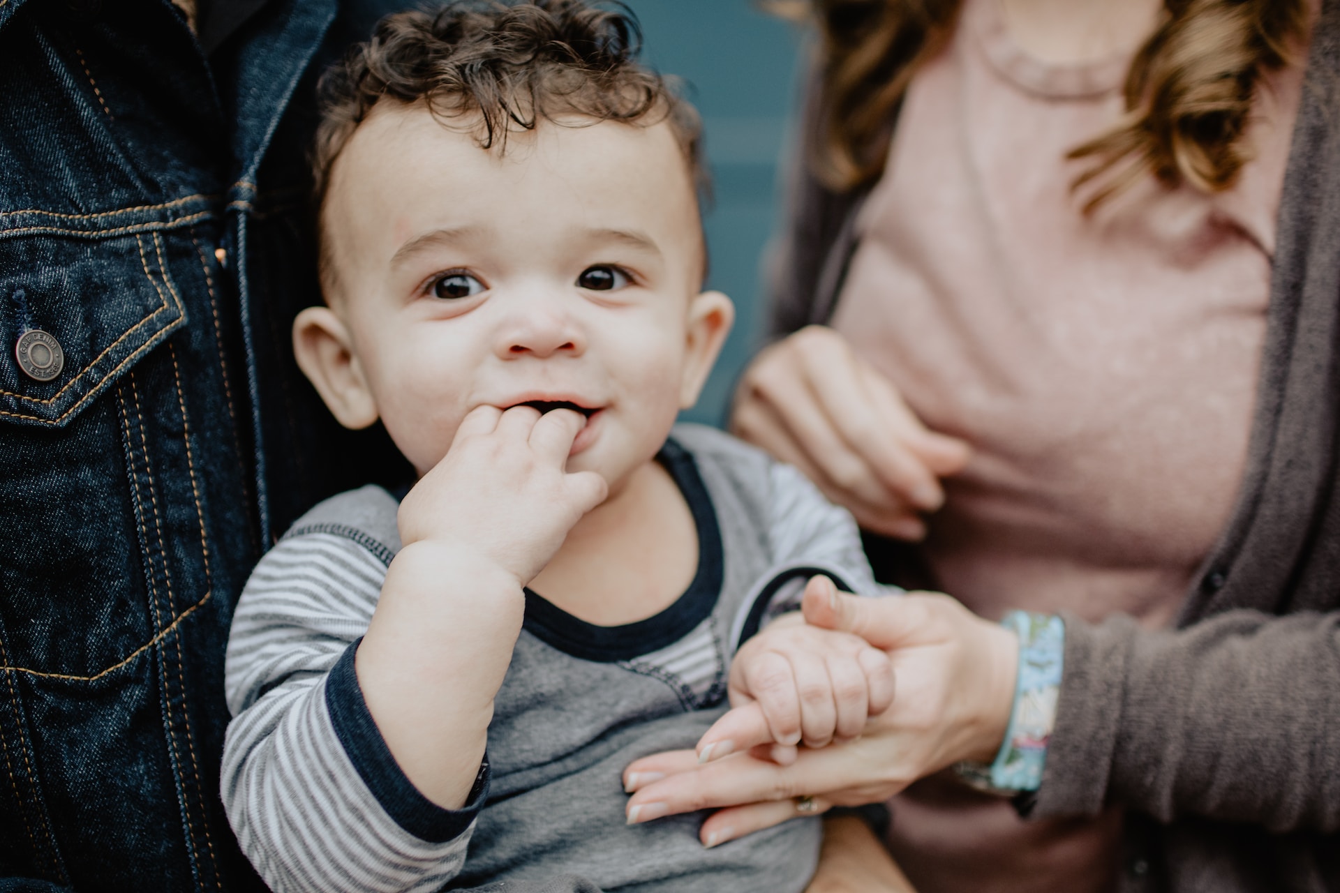 A young child seated on parents' laps chews hands and looks at the camera